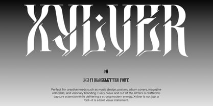 Xylver PRO Font Poster 14