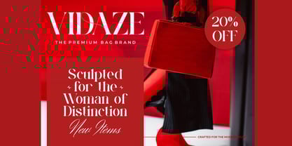 Hegvoc Font Poster 3