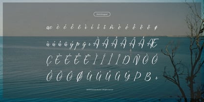 Blessing Blues Font Poster 11