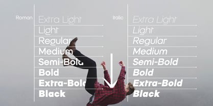 Orbic Font Poster 2