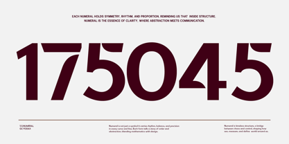 GC Fodax Font Poster 11
