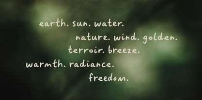 Sakiro Font Poster 12