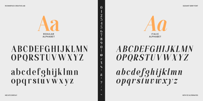 Hecate Display Font Poster 12