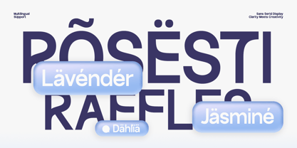 GC Palioka Font Poster 12