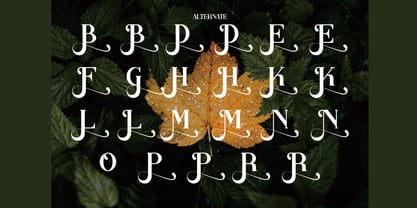 Bakaza Font Poster 4