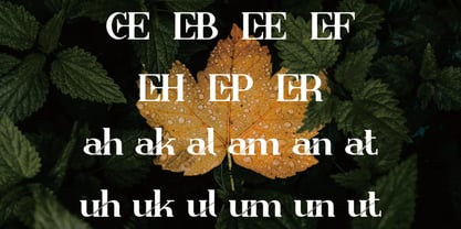 Bakaza Font Poster 3