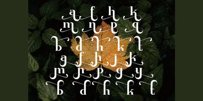 Bakaza Font Poster 10