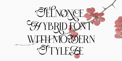 Selnonce Font Poster 4