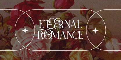 Selnonce Font Poster 10