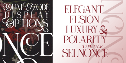 Selnonce Font Poster 5