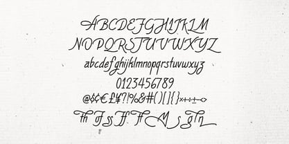 MC The Mossmof Font Poster 5