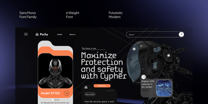 Field Mono Font Poster 3