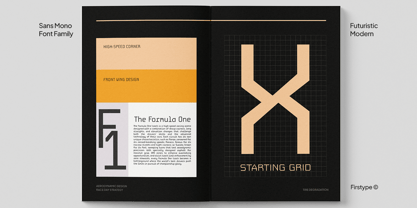 Field Mono Font Poster 5