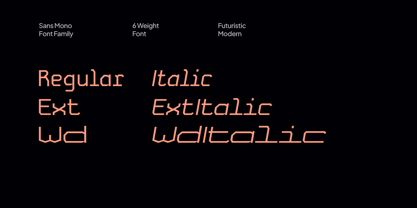 Field Mono Font Poster 7