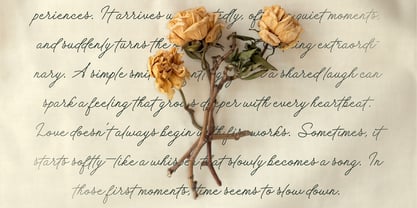 Florelie Font Poster 3