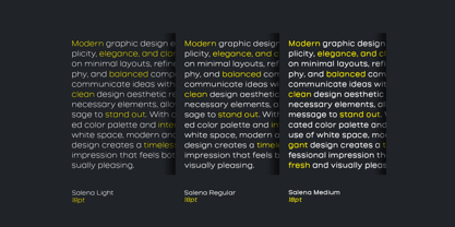 Salena Font Poster 4