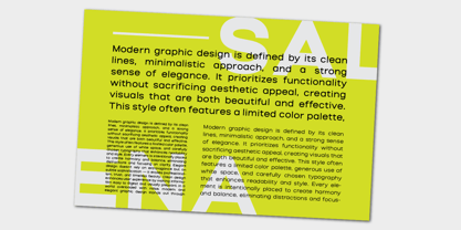 Salena Font Poster 10