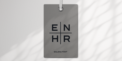 Salena Font Poster 11