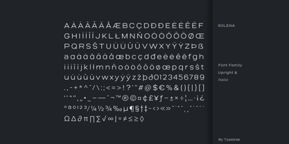 Salena Font Poster 12