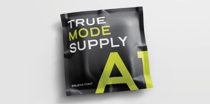 Salena Font Poster 5