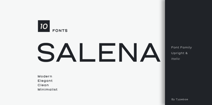 Salena Font Poster 1
