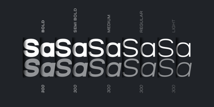 Salena Font Poster 2