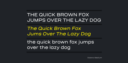 Salena Font Poster 6