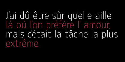 Dominanz Font Poster 5