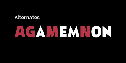 Dominanz Font Poster 6