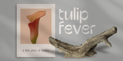 Corgale Font Poster 4