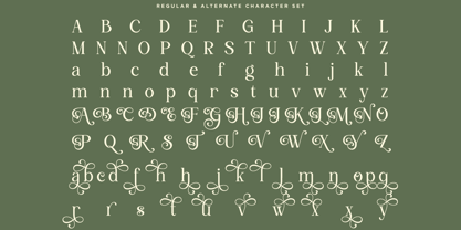 Avoleina Font Poster 9