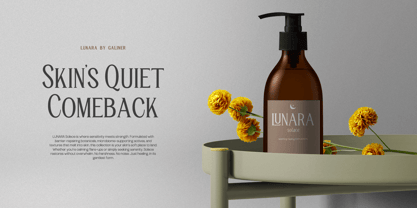 TRT Manique Font Poster 9