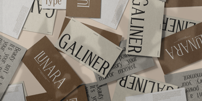 TRT Manique Font Poster 8