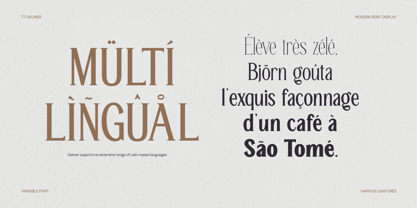 TRT Manique Font Poster 15