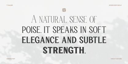 TRT Manique Font Poster 12