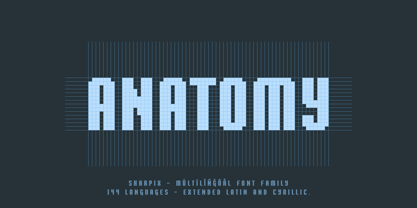 Sharpix Font Poster 6