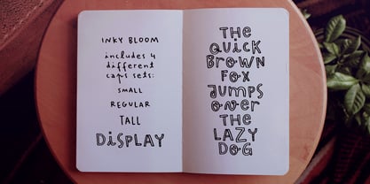 Inky Bloom Font Poster 2