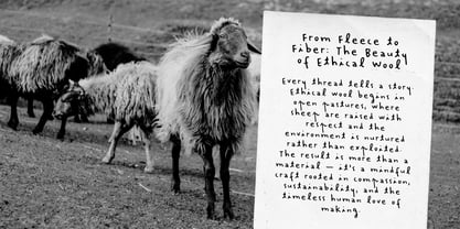 Inky Bloom Font Poster 5