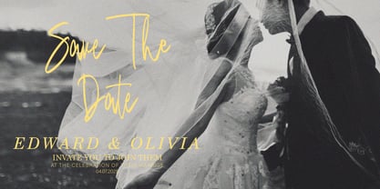 Qinetra Brush Font Poster 2