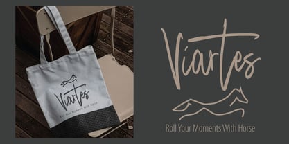 Qinetra Brush Font Poster 9