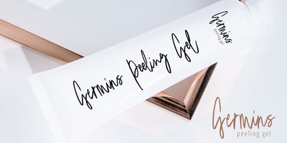 Qinetra Brush Font Poster 3