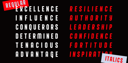 Delonie Font Poster 5