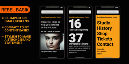 Rebel Basik Font Poster 5