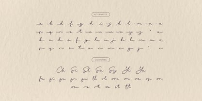 Vista Chopers Font Poster 10