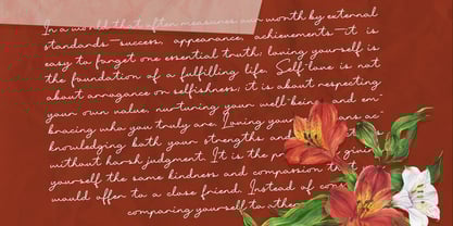 Vista Chopers Font Poster 3