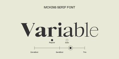 Mckins Font Poster 8