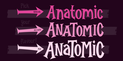 Burlexa Font Poster 8