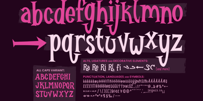 Burlexa Font Poster 4