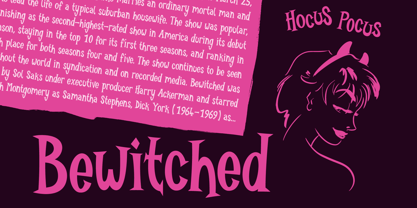 Burlexa Font Poster 15