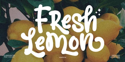 Josellyne Font Poster 3